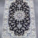 200x120 نايين طبس