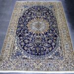 310x195 نايين طبس