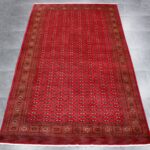 377x230 تركمان