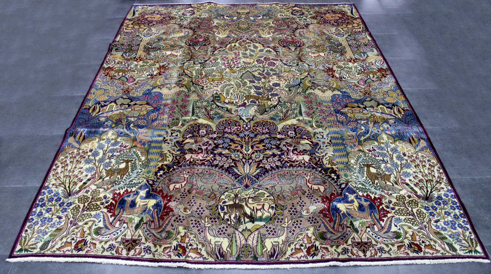 IMG_1504.jpg 395x295 كشمر - Image 1