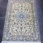 195x125 نايين نُهلا