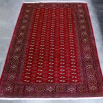 290x195 تركمان