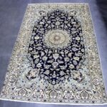 310x200 نايين طبس