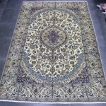 295x195 نايين طبس