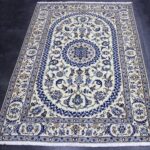 290x190 نايين طبس