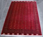 290x210 تركمان