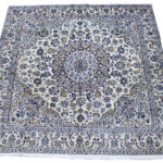 200X200 نايين نُهلا