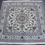 196x198 نايين طبس