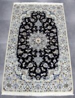 200x120 نايين طبس