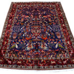 310X210 بختيار