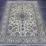 310x215 نايين نُهلا