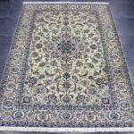 308x210 نايين نُهلا