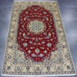 252x152 نايين نُهلا