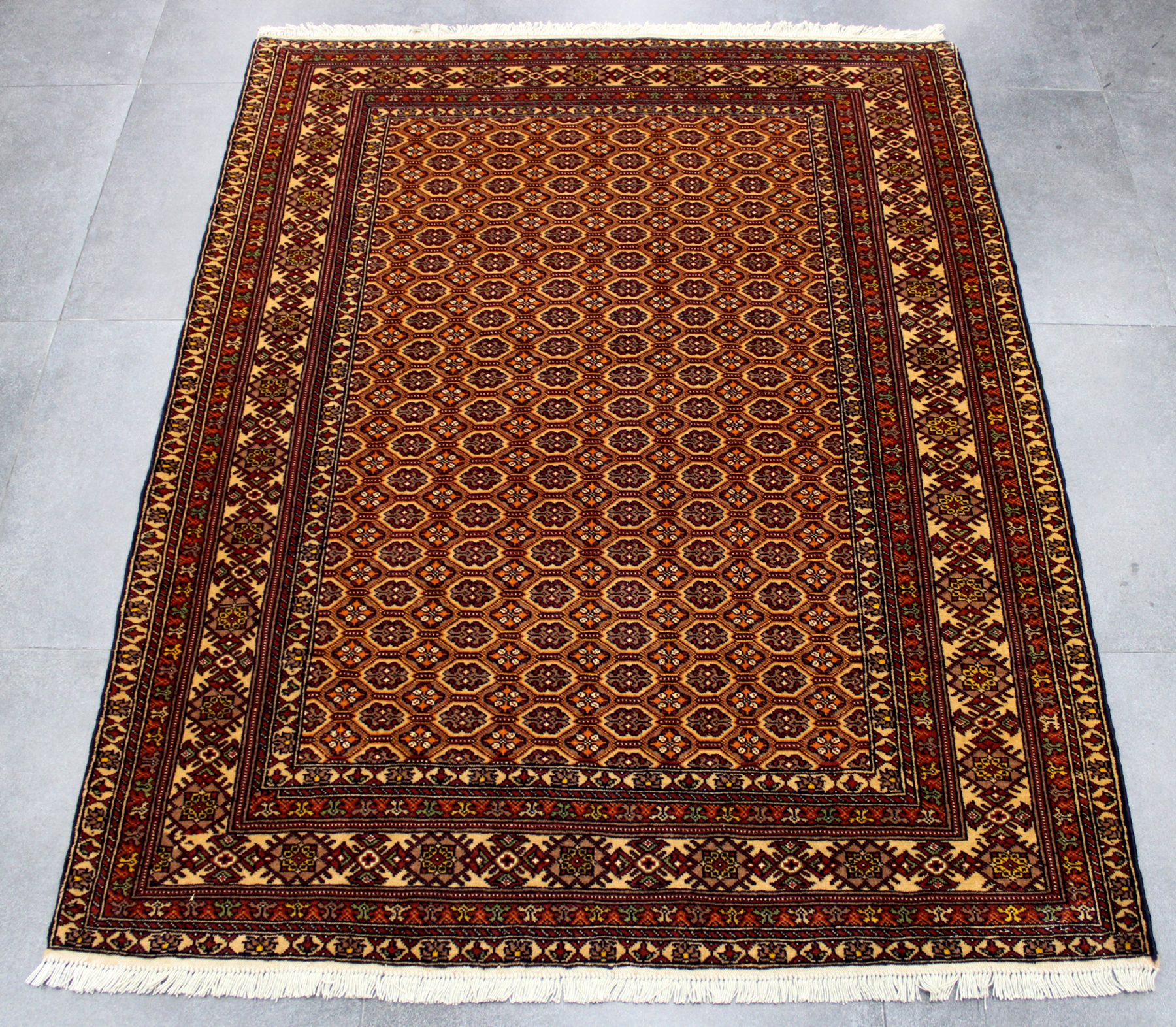 IMG_3913_1800x1572 175x140 تركمان - Image 1